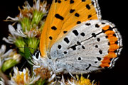 20061008_15415280_D200