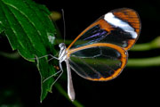 20071007_10530941_D200